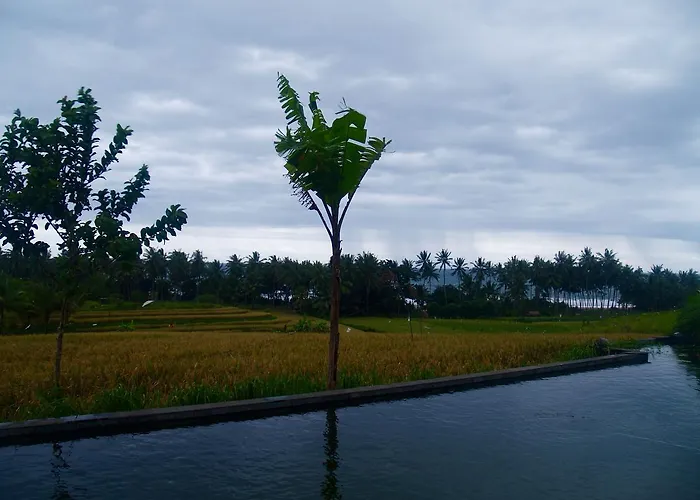 Bali Eco Matekap Villa
