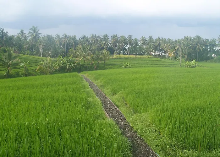 Villa Bali Eco Matekap