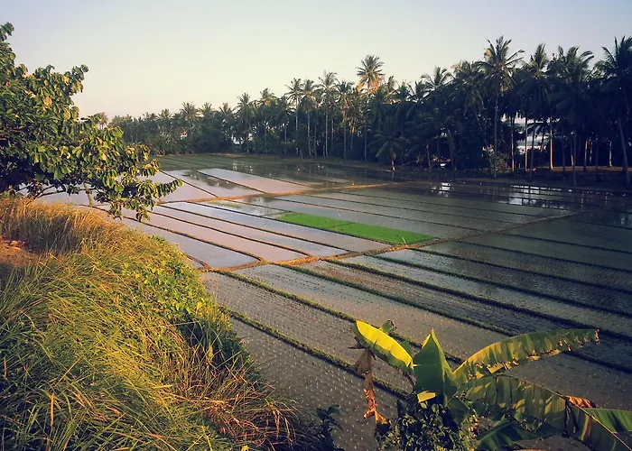 Bali Eco Matekap ヴィラ *