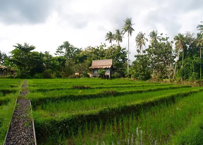 Bali Eco Matekap Selemadeg (Bali)