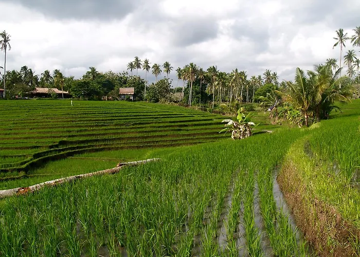 Villa Bali Eco Matekap *