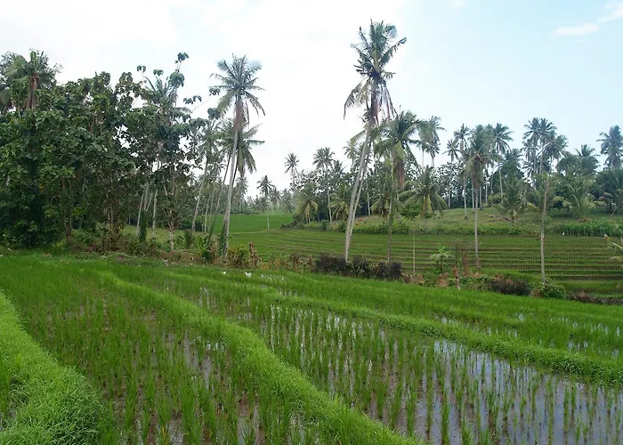 Villa Bali Eco Matekap *