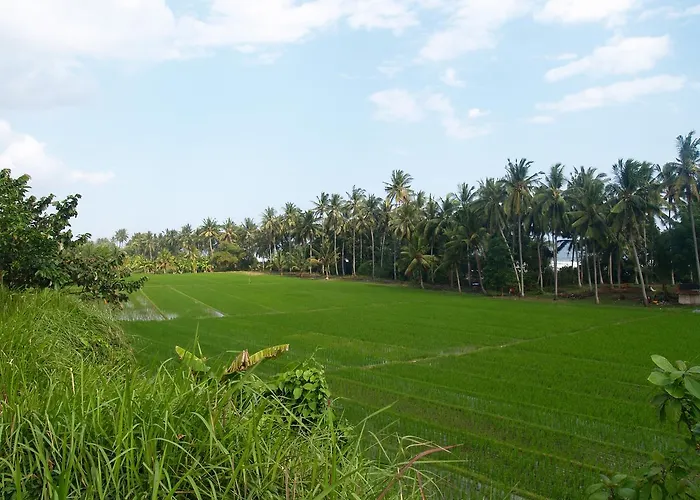 Bali Eco Matekap