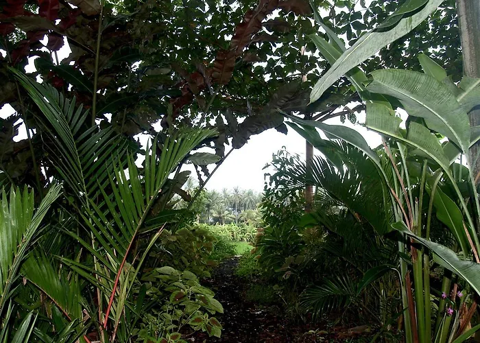 Bali Eco Matekap Villa *