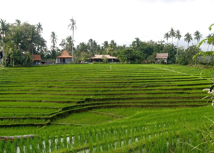 Bali Eco Matekap * Selemadeg (Bali)