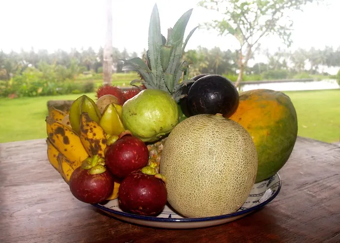 Bali Eco Matekap