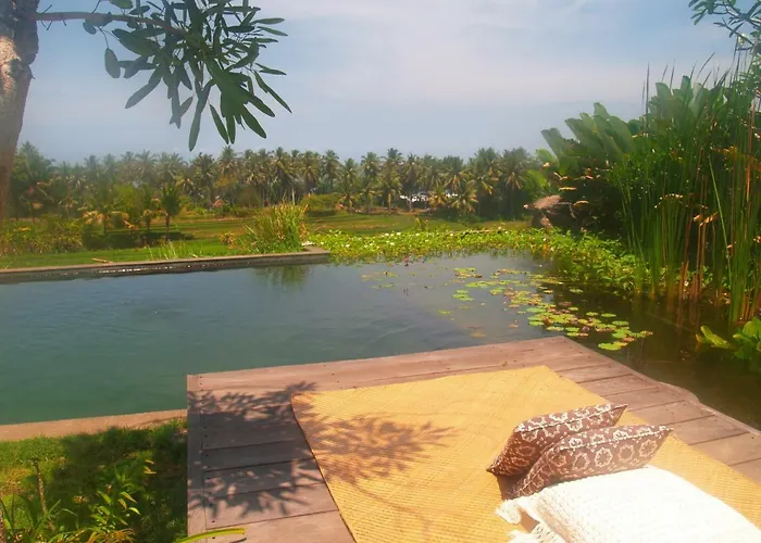 Bali Eco Matekap Selemadeg
