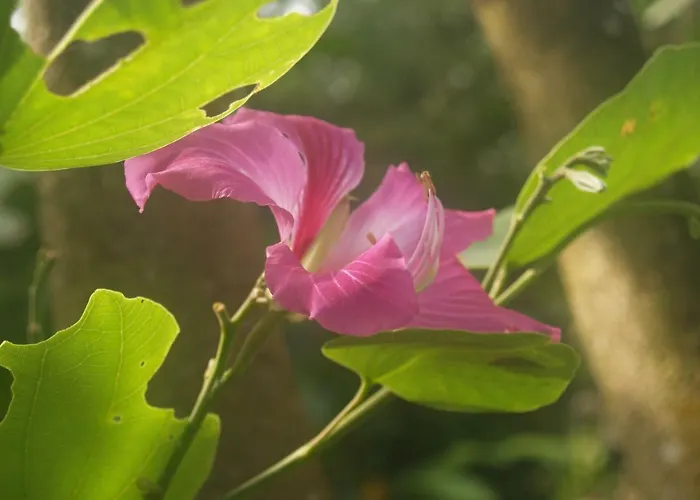 Villa Bali Eco Matekap Selemadeg (Bali)