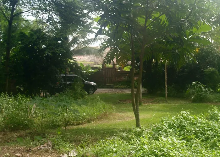 Bali Eco Matekap Selemadeg