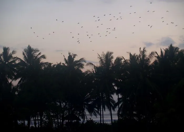 Bali Eco Matekap *
