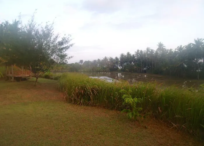 Bali Eco Matekap Selemadeg