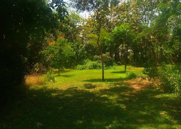 Bali Eco Matekap