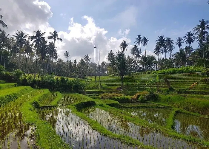 Bali Eco Matekap Villa