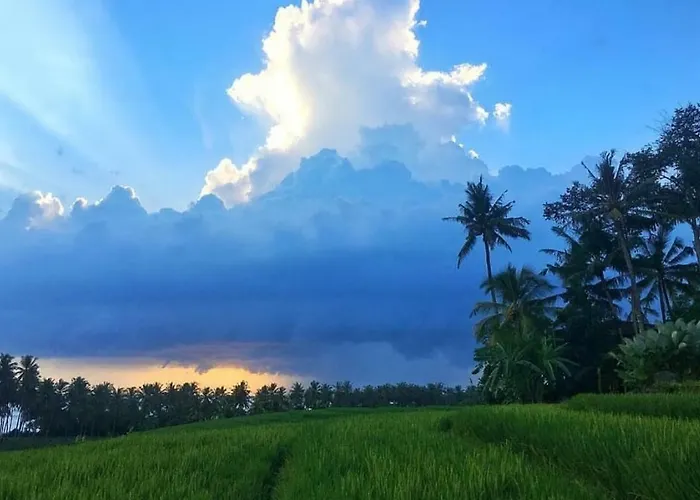 Villa Bali Eco Matekap *